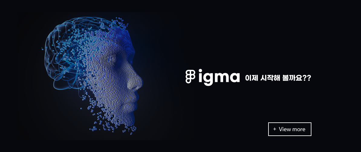 비주얼 이미지 대체텍스트